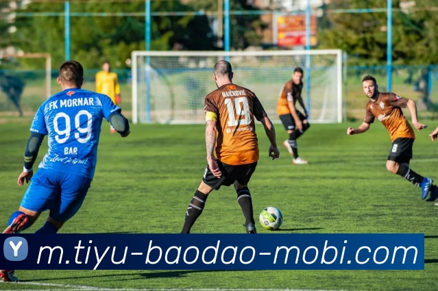 半岛体育发展历程